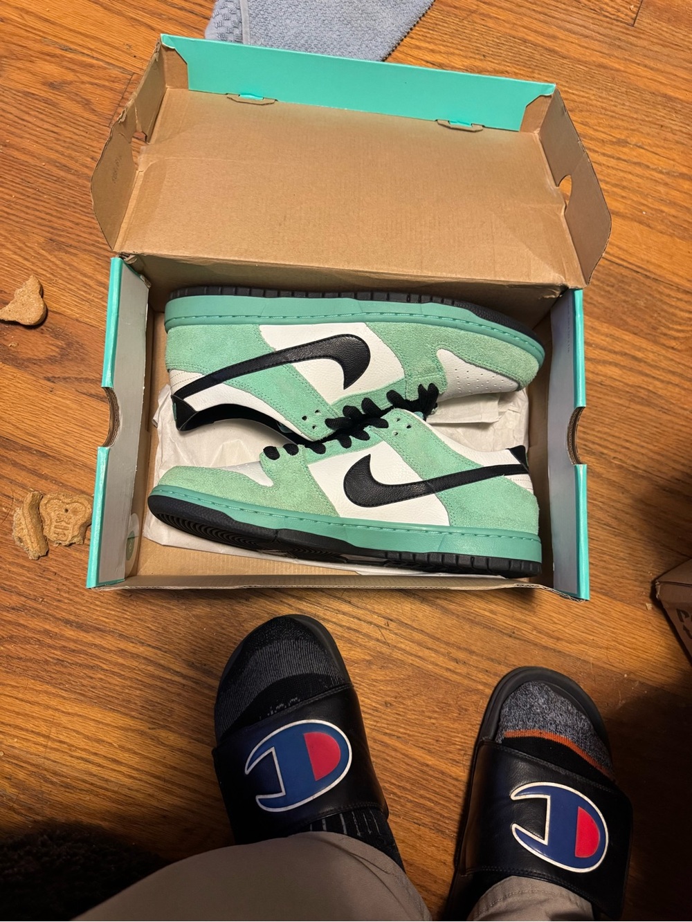 SB NIKE 11